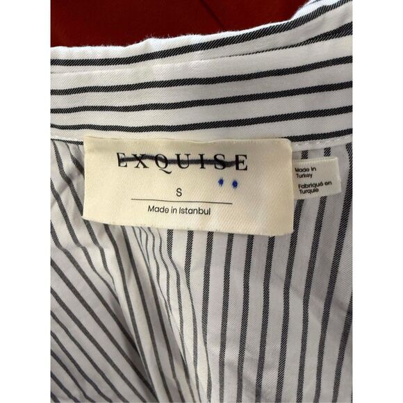 New Anthropologie The Tobie Button-Front Pleated Shirt Dress by Exquise Size S - Picture 9 of 11